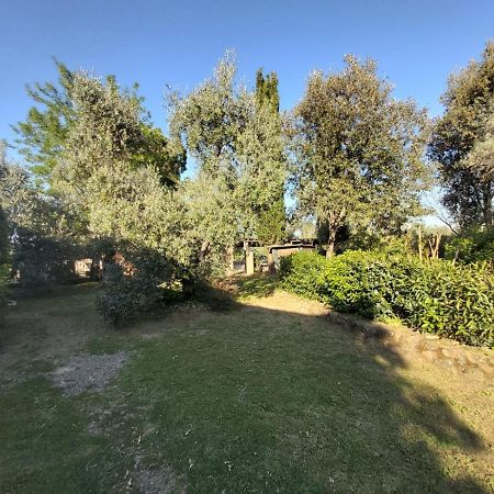 Tenuta Santa Maria Villa Campagnatico Eksteriør bilde