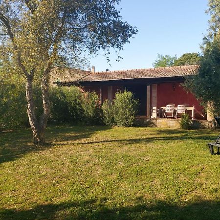 Tenuta Santa Maria Villa Campagnatico Eksteriør bilde