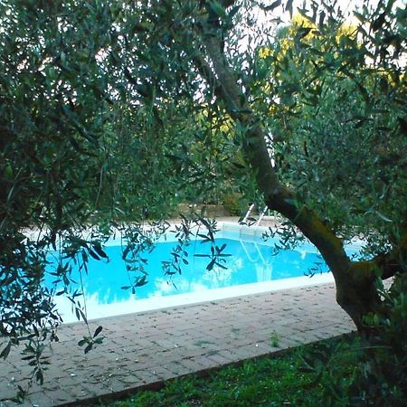 Tenuta Santa Maria Villa Campagnatico Eksteriør bilde