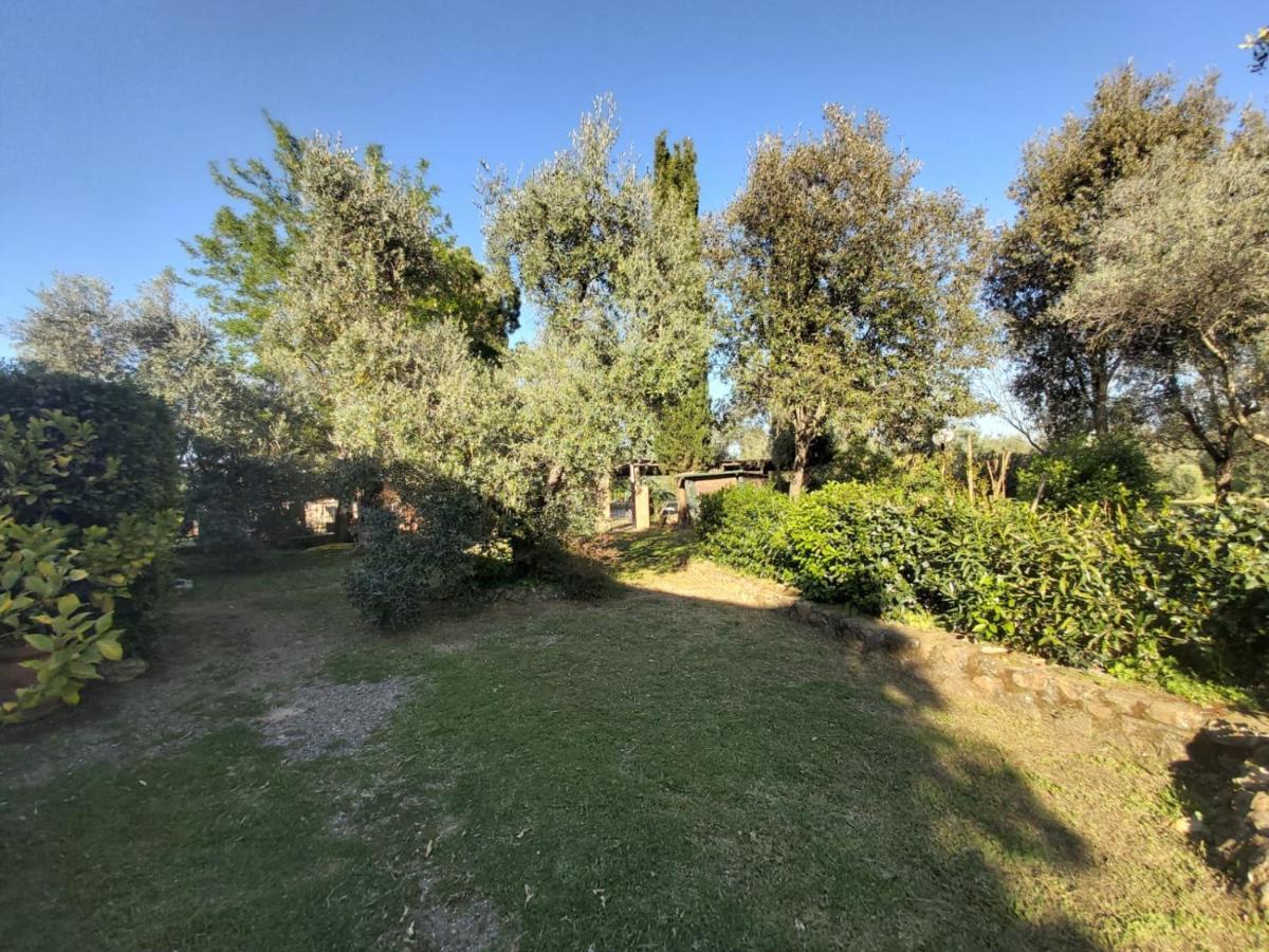 Tenuta Santa Maria Villa Campagnatico Eksteriør bilde