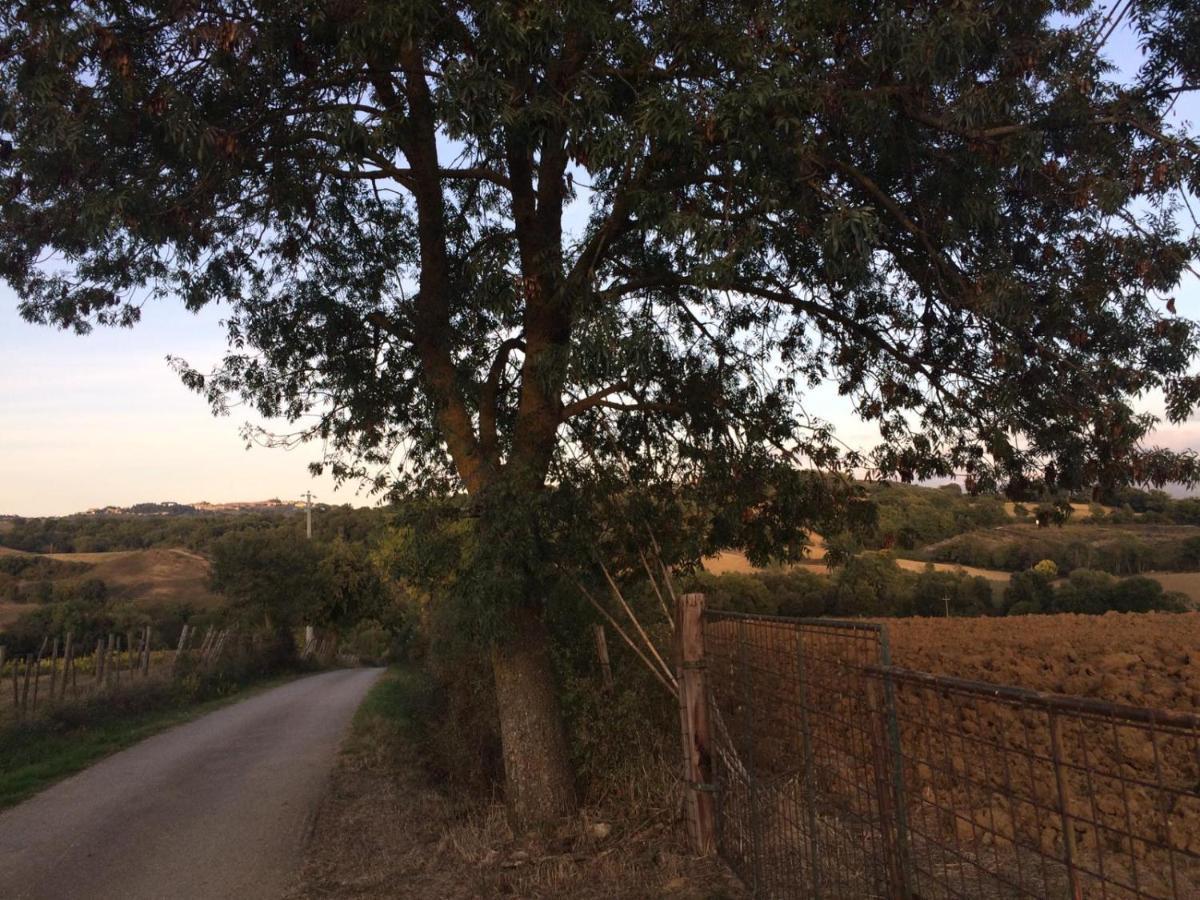 Tenuta Santa Maria Villa Campagnatico Eksteriør bilde