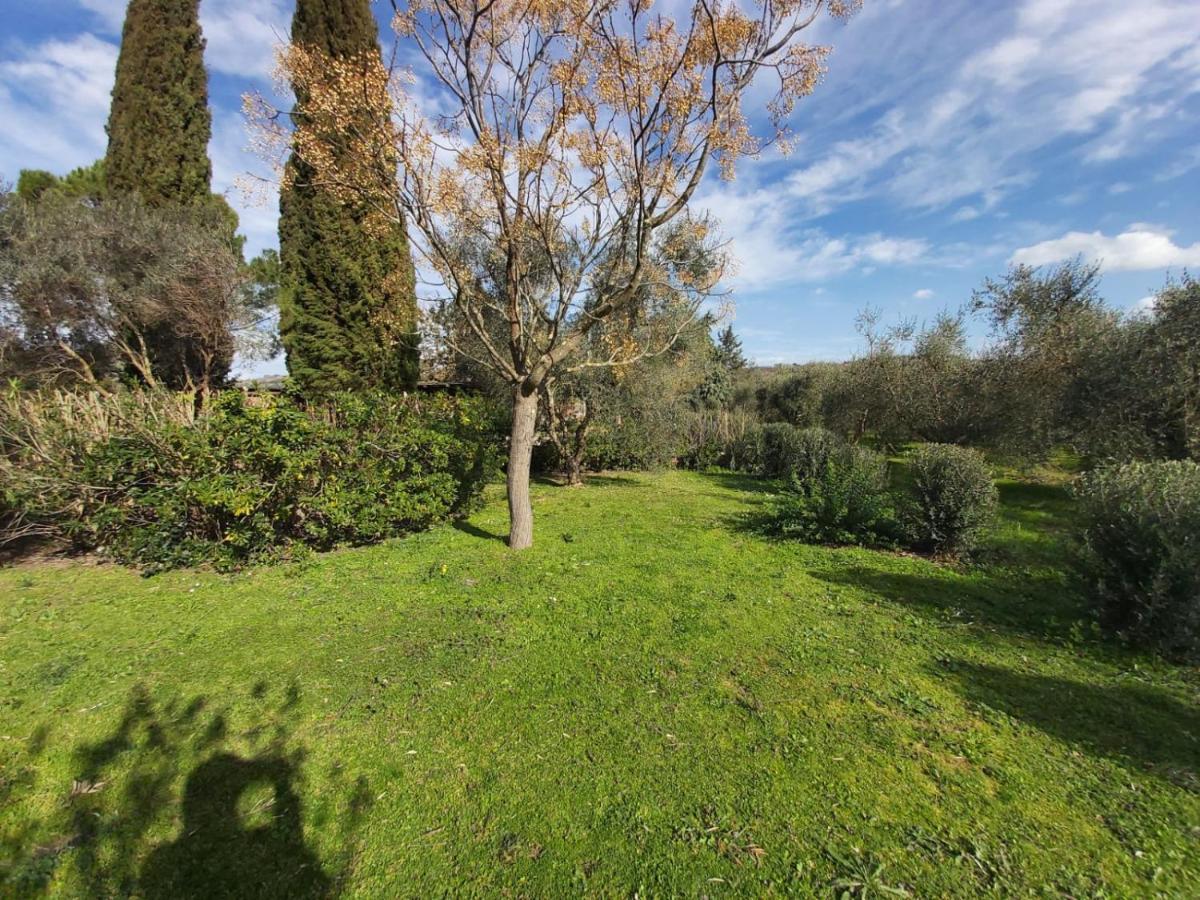 Tenuta Santa Maria Villa Campagnatico Eksteriør bilde