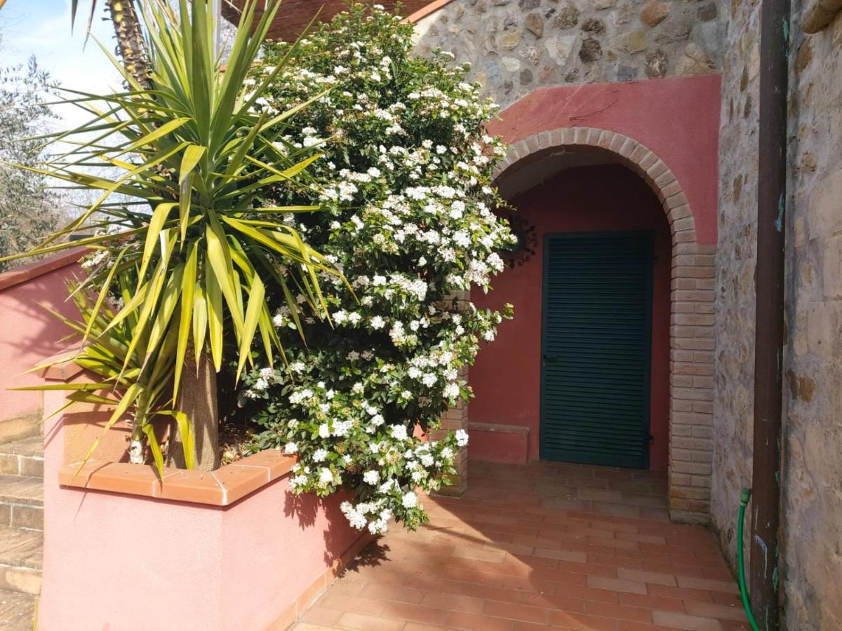 Tenuta Santa Maria Villa Campagnatico Eksteriør bilde