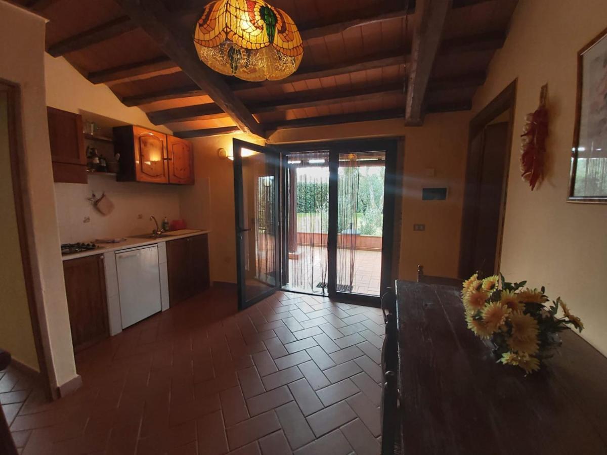 Tenuta Santa Maria Villa Campagnatico Eksteriør bilde