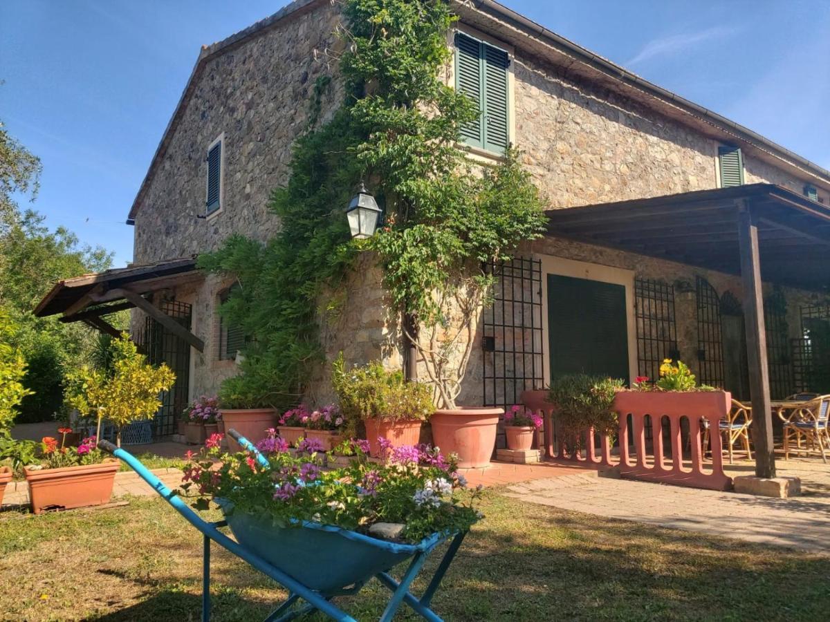 Tenuta Santa Maria Villa Campagnatico Eksteriør bilde
