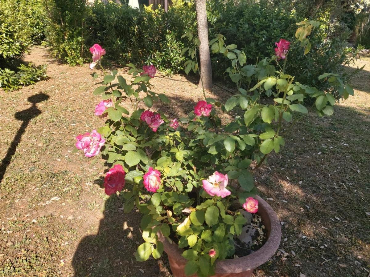 Tenuta Santa Maria Villa Campagnatico Eksteriør bilde