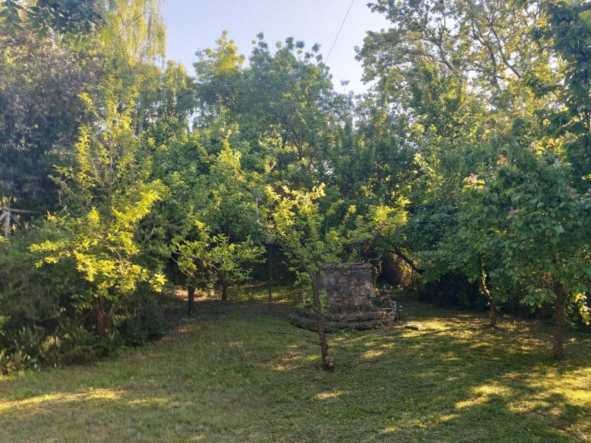 Tenuta Santa Maria Villa Campagnatico Eksteriør bilde
