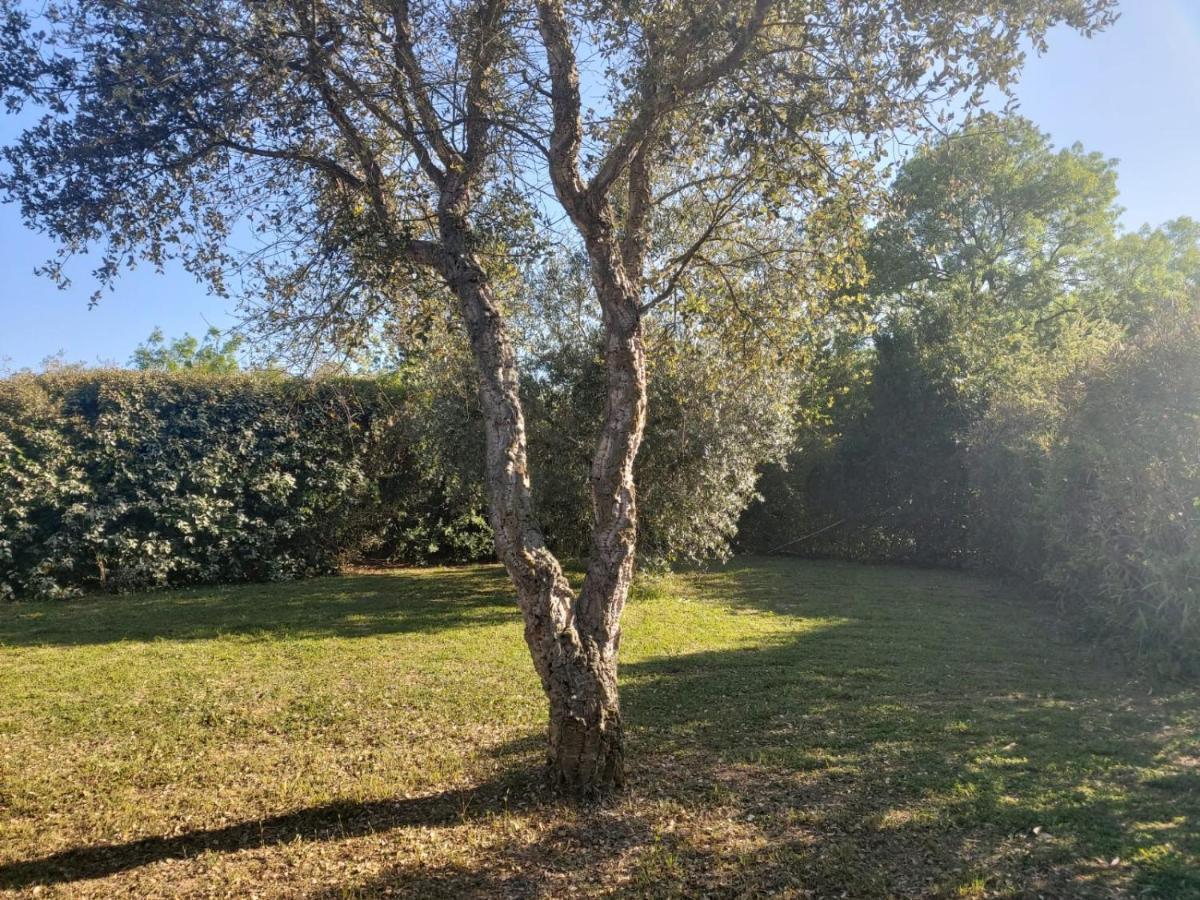 Tenuta Santa Maria Villa Campagnatico Eksteriør bilde
