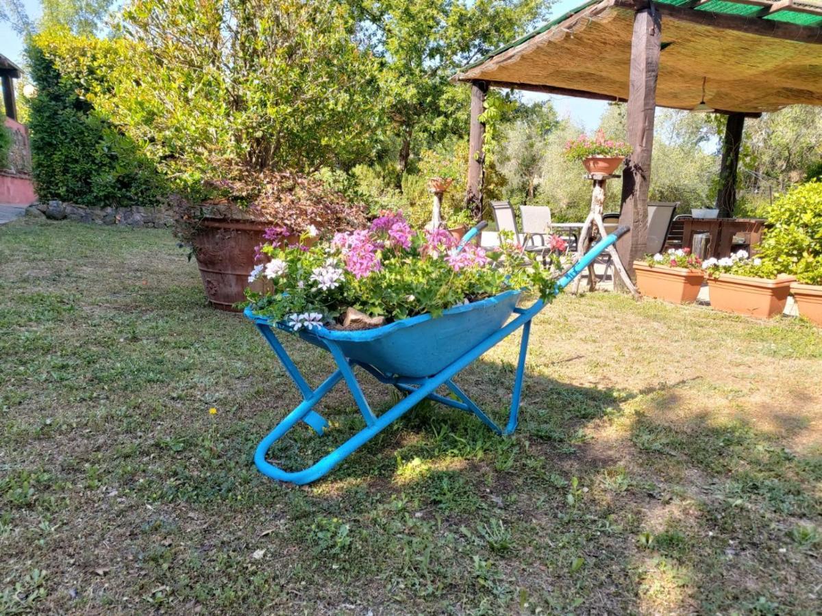 Tenuta Santa Maria Villa Campagnatico Eksteriør bilde