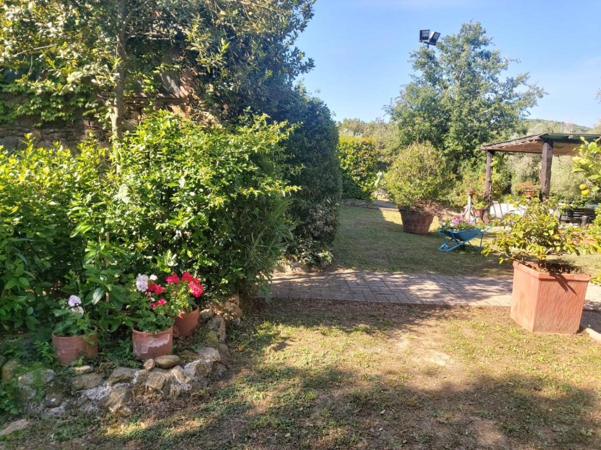 Tenuta Santa Maria Villa Campagnatico Eksteriør bilde