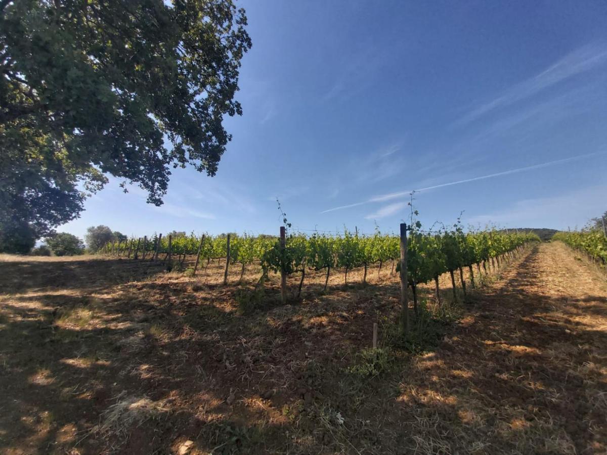 Tenuta Santa Maria Villa Campagnatico Eksteriør bilde