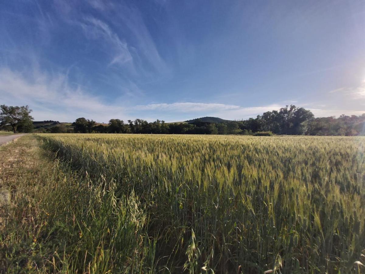 Tenuta Santa Maria Villa Campagnatico Eksteriør bilde