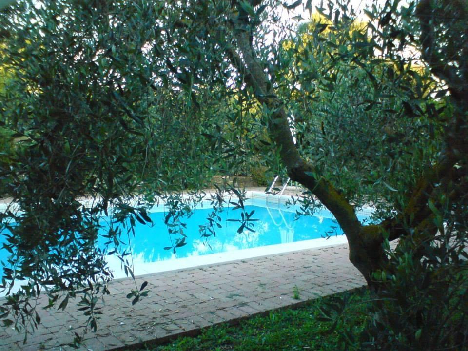 Tenuta Santa Maria Villa Campagnatico Eksteriør bilde